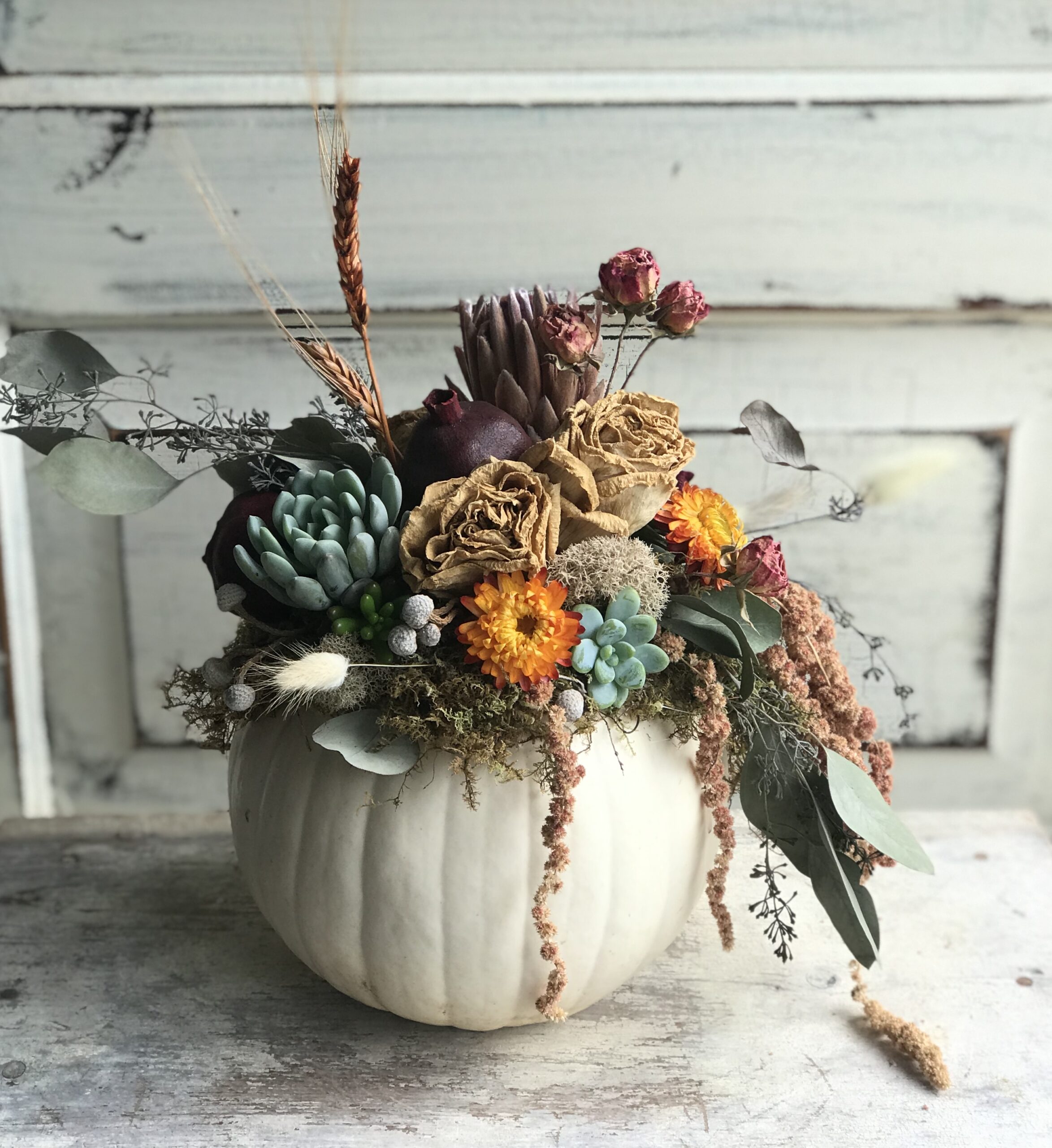 Succulent Pumpkin
