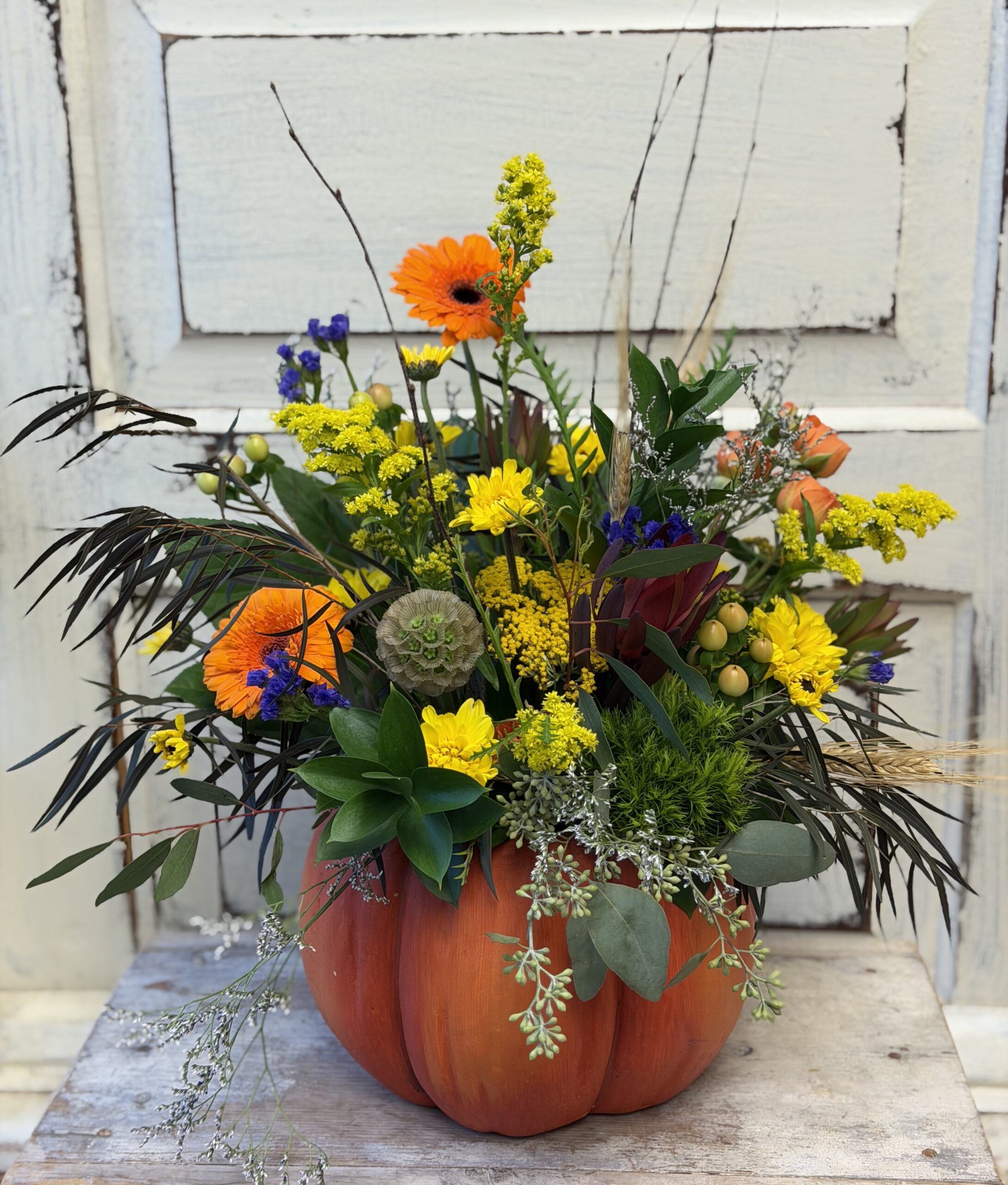 Fall in a Pumpkin